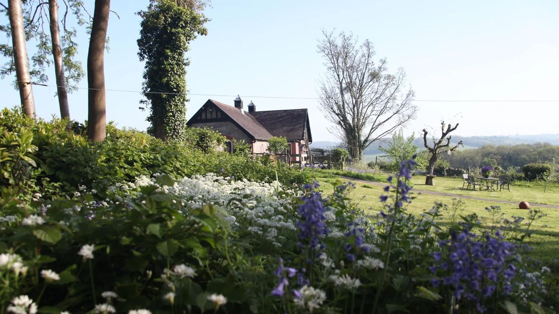 Blagdon Coombe Lodge Farm House المملكة المتحدة