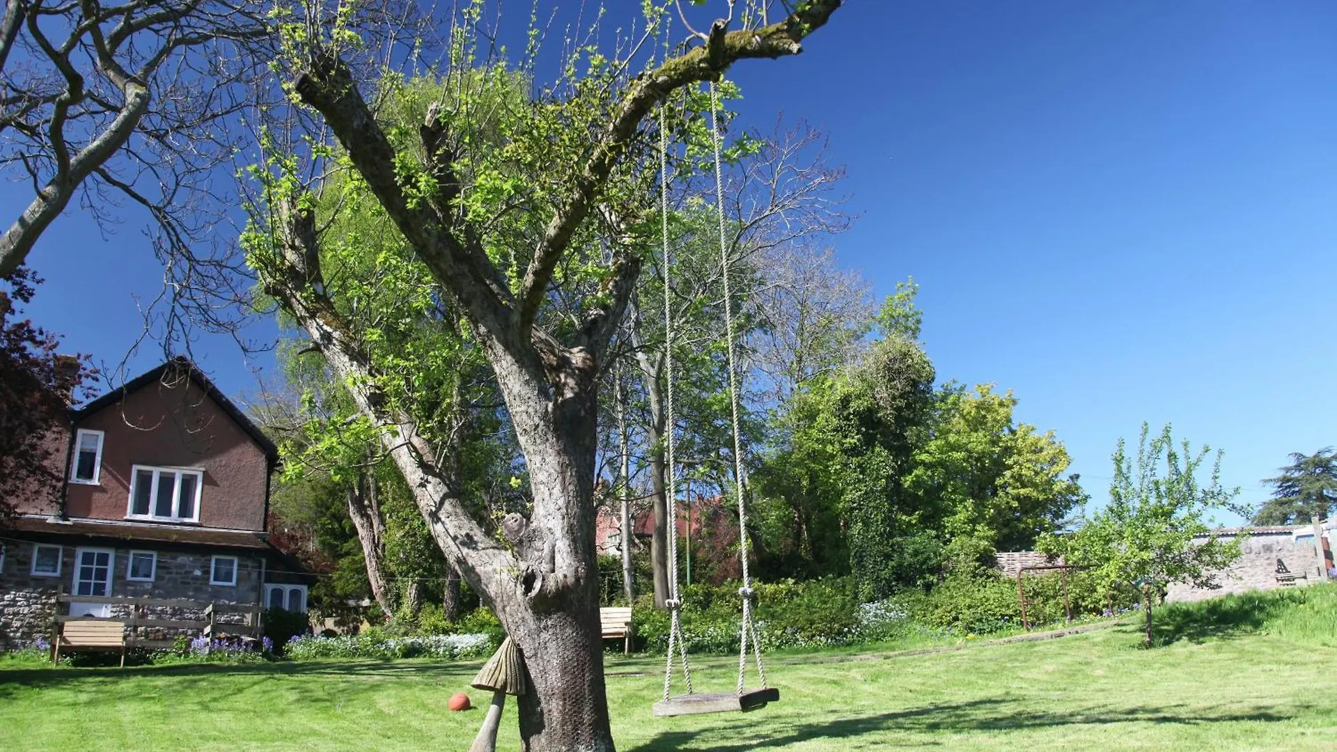 Blagdon Coombe Lodge Farm House فندق مبيت وإفطار